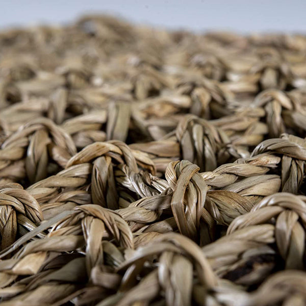 بن بلاكس ارجوحة للزواحف مصنوعة من الاعشاب البحرية